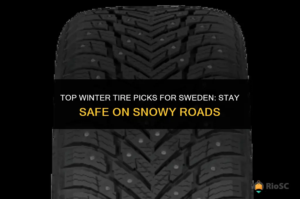 best winter tires sweden
