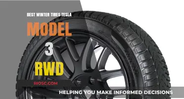 Top Winter Tire Picks for Tesla Model 3 RWD: Stay Safe and Stylish on Snowy Roads