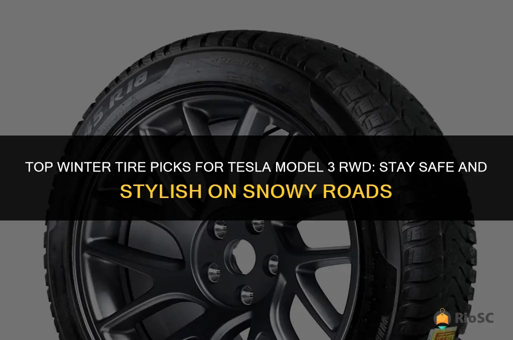best winter tires tesla model 3 rwd