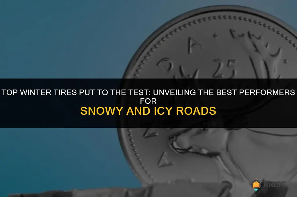 best winter tires test