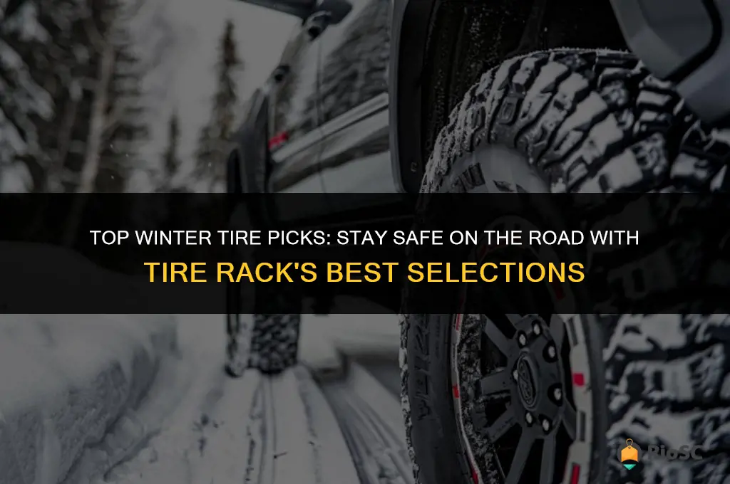 best winter tires tire rack