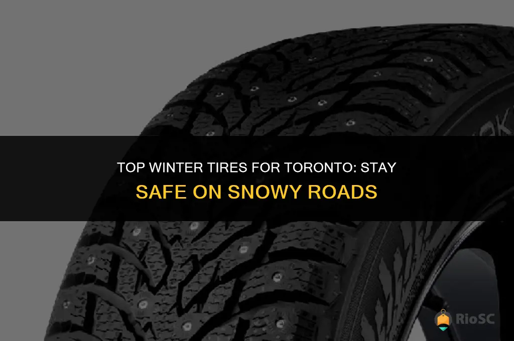 best winter tires toronto