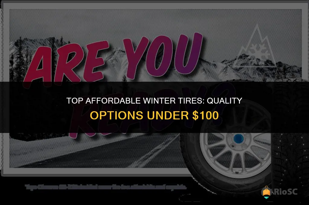 best winter tires under 100
