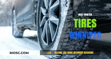 Top Winter Tires for Winnipeg: Stay Safe on Icy Roads