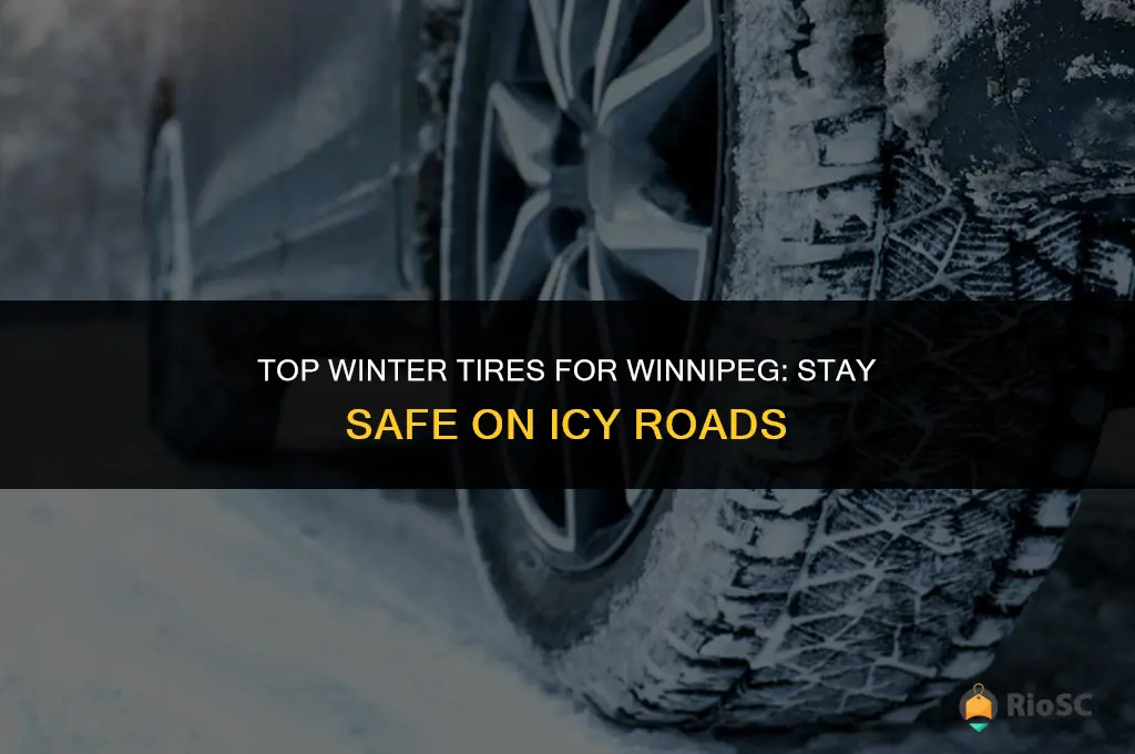 best winter tires winnipeg