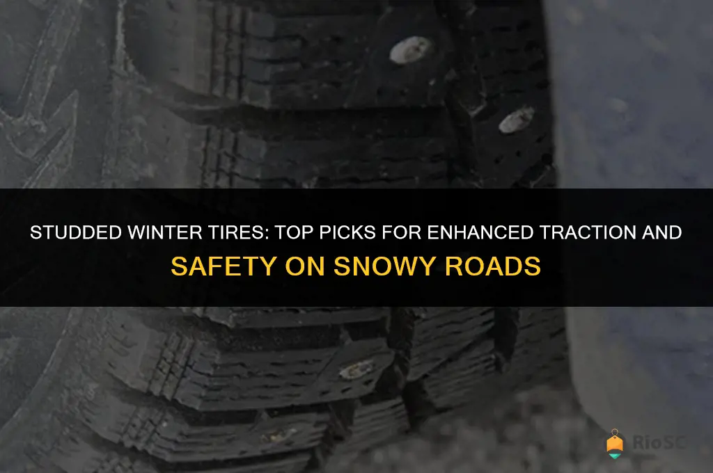 best winter tires with studs
