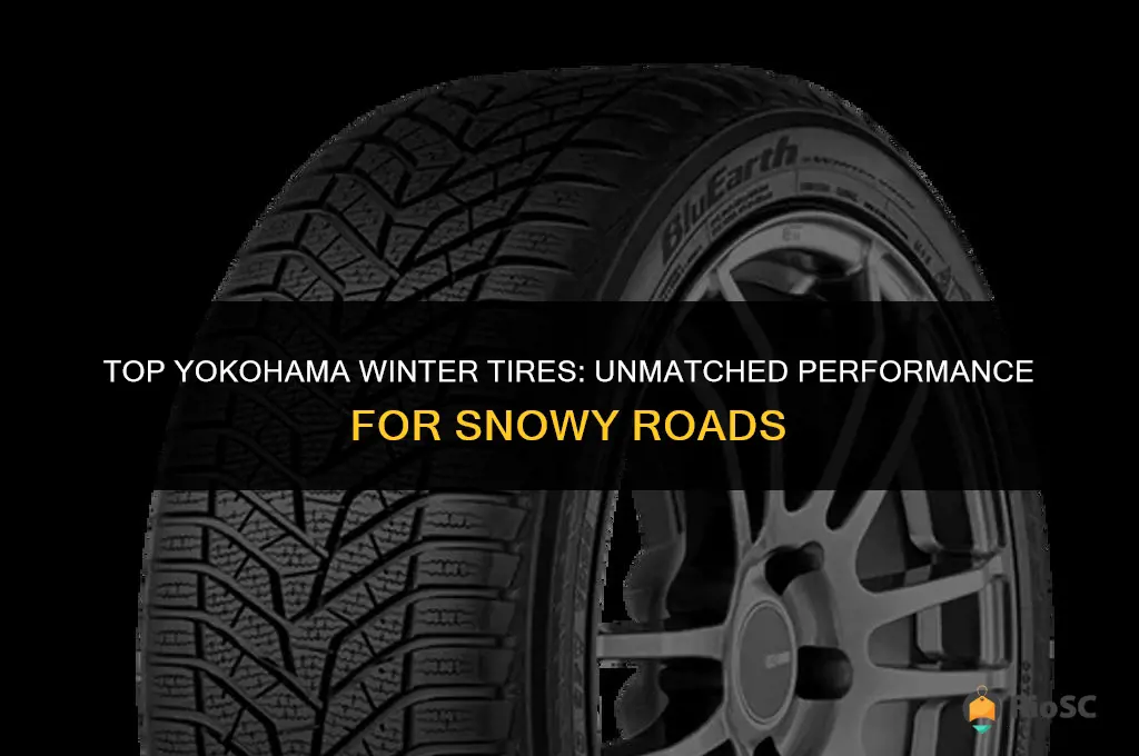 best winter tires yokohama