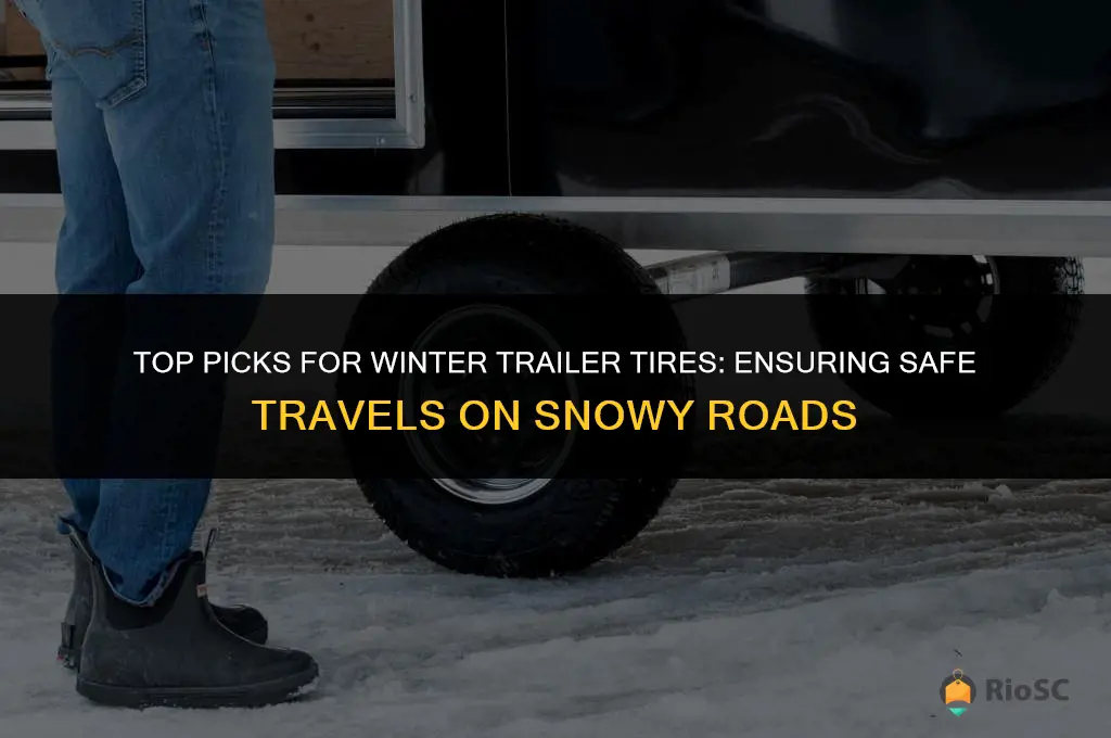 best winter trailer tires