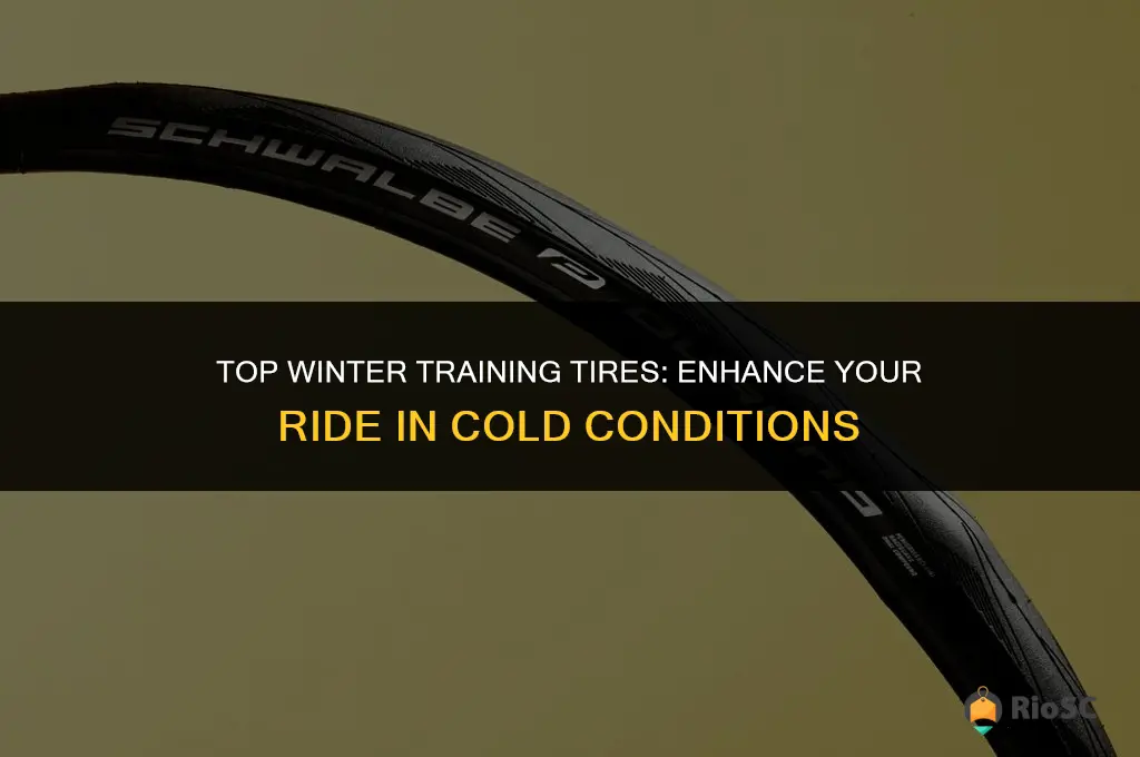 best winter training tires