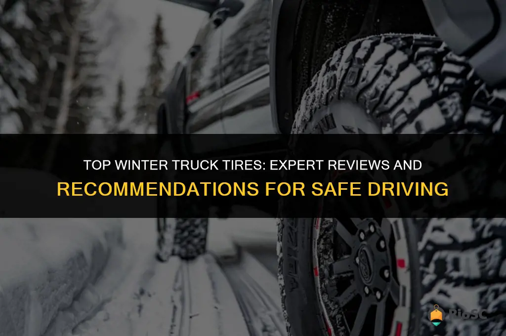 best winter truck tires reviews