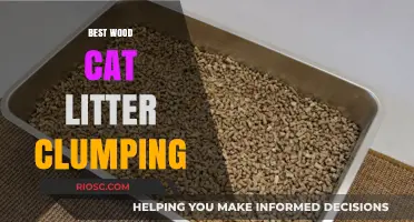 Top Wood Cat Litter Clumping Options for Odor Control and Easy Cleanup
