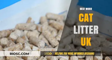 Top Eco-Friendly Wood Cat Litter Options in the UK: A Comprehensive Guide