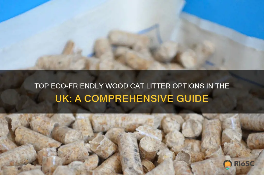 best wood cat litter uk