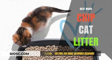 Eco-Friendly and Odor-Free: Discover the Best Wood Chip Cat Litter Options for Your Feline Friend
