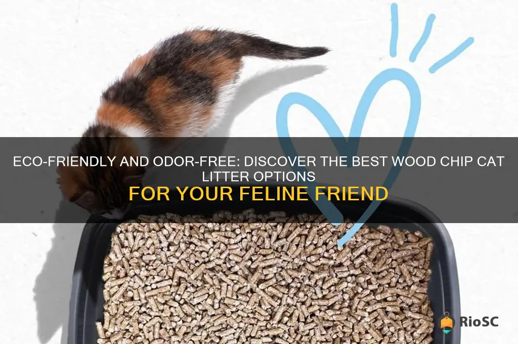 best wood chip cat litter
