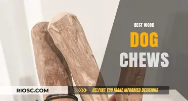 Top-Rated Wood Dog Chews: Safe and Durable Options for Your Furry Friend