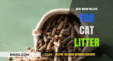 Eco-Friendly and Odor-Free: Top Wood Pellets for Cat Litter Solutions