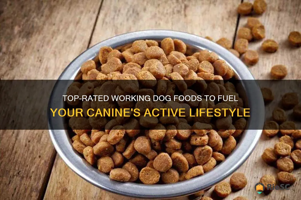 best working dog food