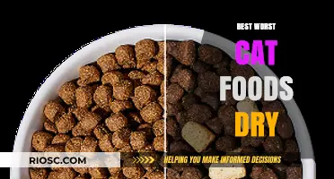 Decoding the Best and Worst Dry Cat Foods: A Comprehensive Guide for Feline Nutrition
