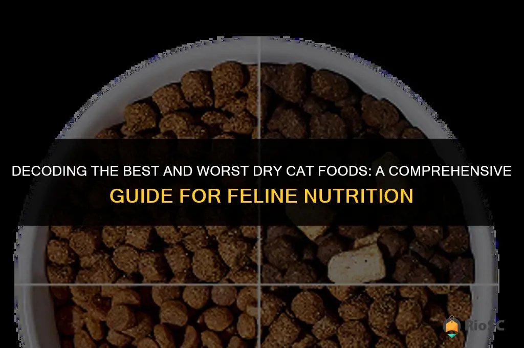 best worst cat foods dry