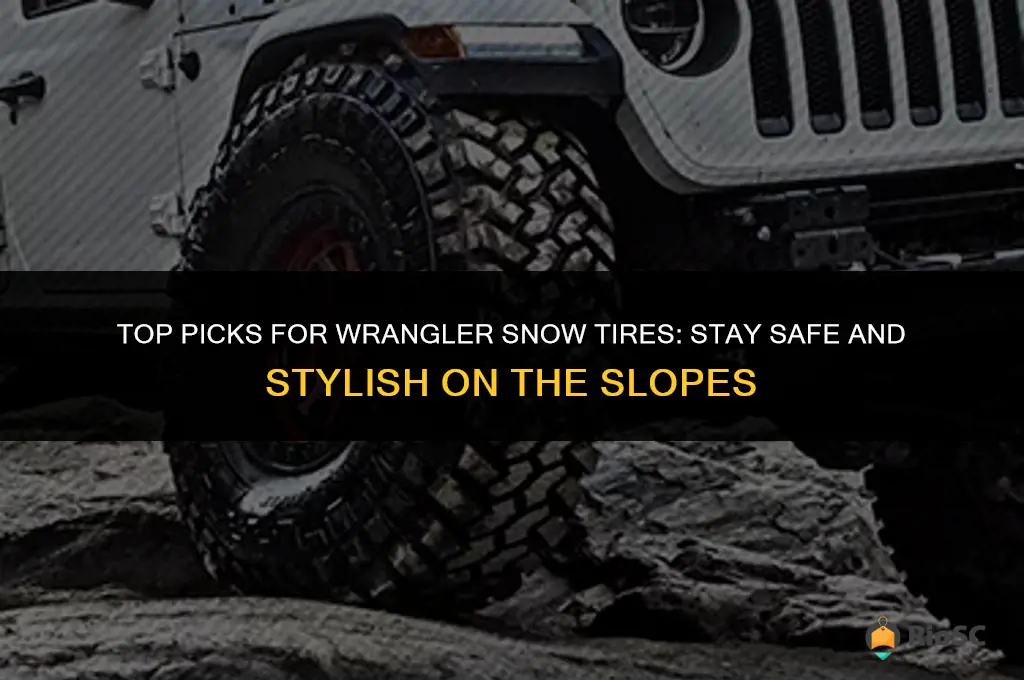 best wrangler snow tires