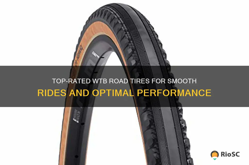 best wtb road tires