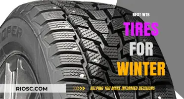 Top Winter Tire Picks: Stay Safe and Stylish on Snowy Roads
