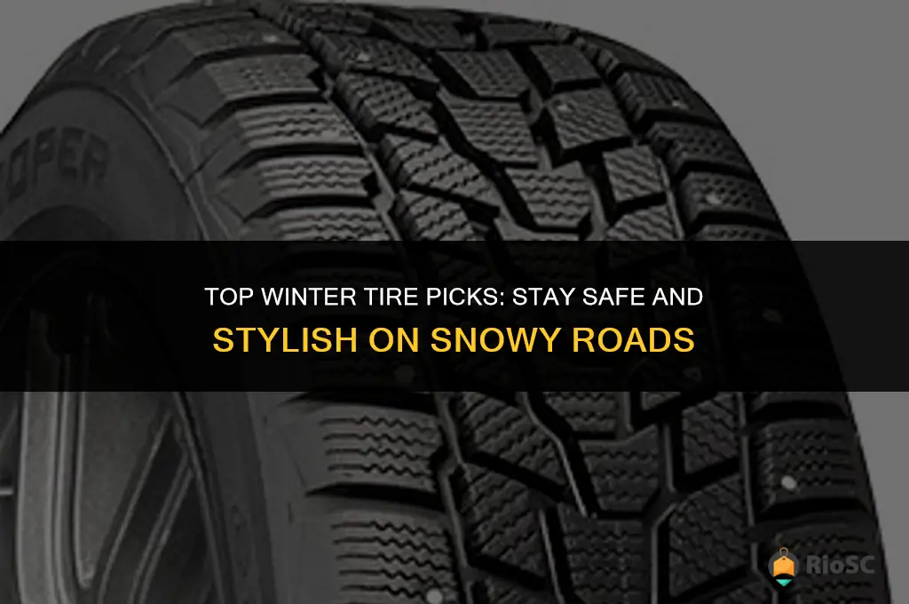 best wtb tires for winter