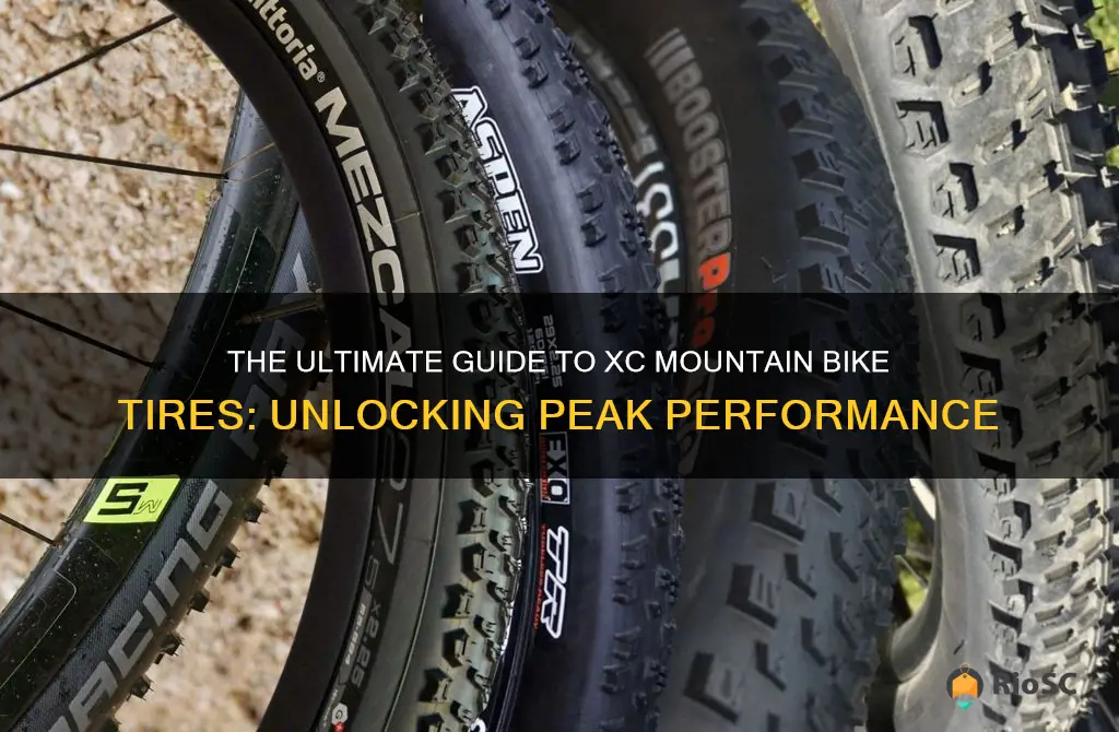 best xc mountain bike tires