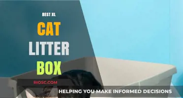 Top XL Cat Litter Box Options for Spacious and Comfortable Kitty Care