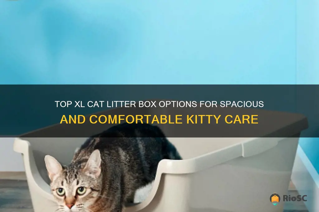 best xl cat litter box