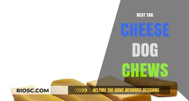 Why Yak Cheese Dog Chews Are the Ultimate Healthy Treat for Your Pup