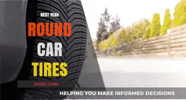 The Ultimate Guide to Year-Round Car Tires: Finding the Perfect Balance