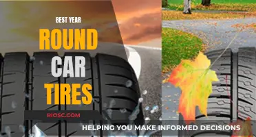 Ever-Ready Rubber: Finding the Best Year-Round Car Tires