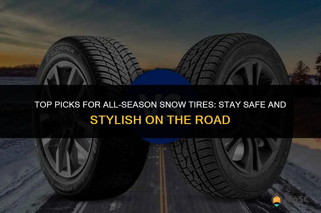 best year round snow tires