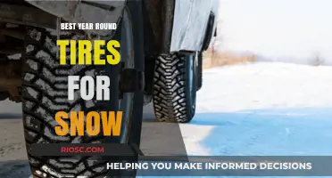 Top All-Season Tires for Snowy Conditions: Stay Safe and Mobile Year-Round