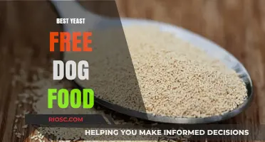 Top Yeast-Free Dog Food Options for Healthy and Happy Canines