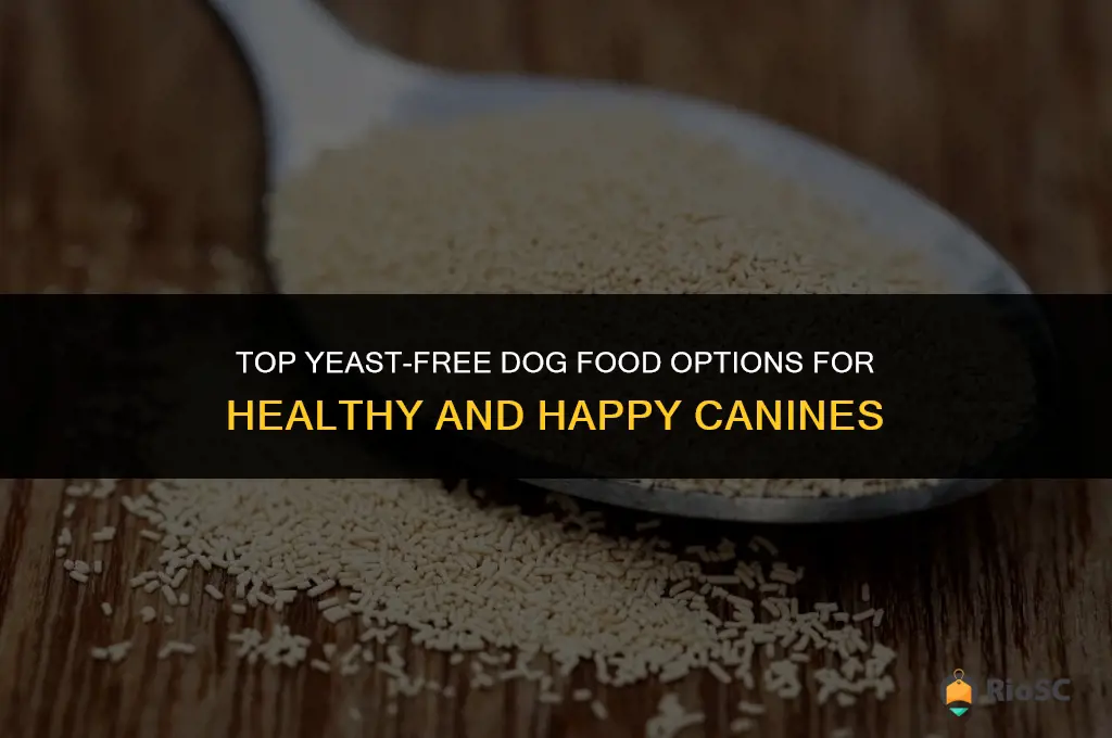 best yeast free dog food