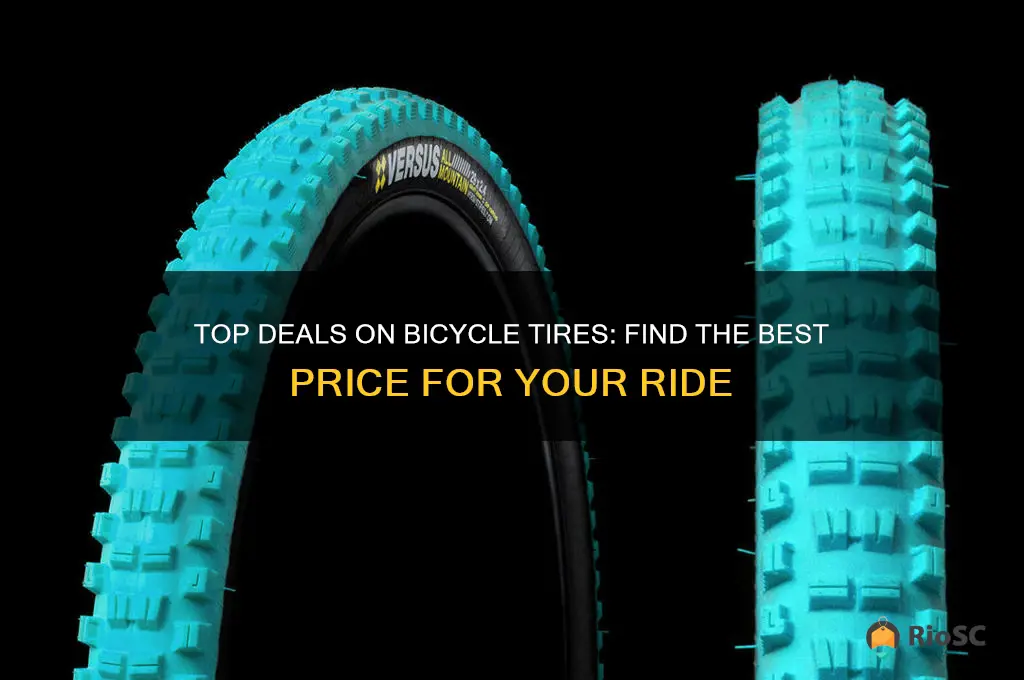 bicycle tires best price