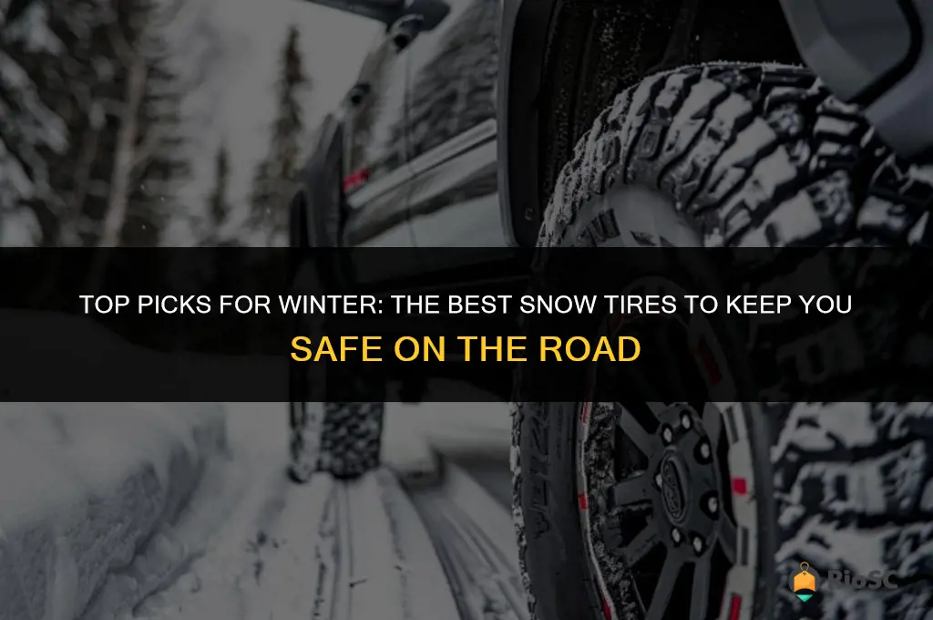 big best snow tires