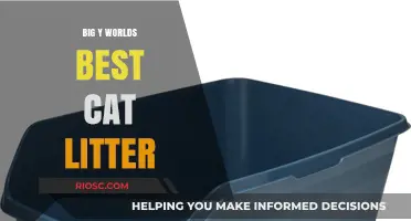 Revolutionize Your Cat Care Routine with Big Y World's Best Cat Litter