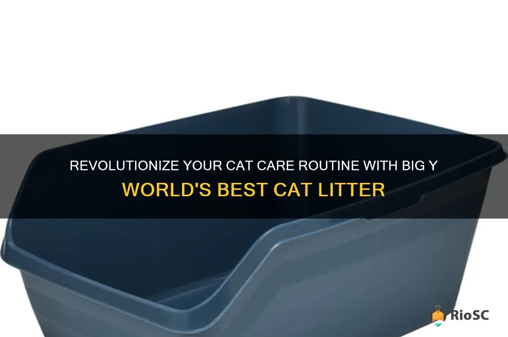 big y worlds best cat litter