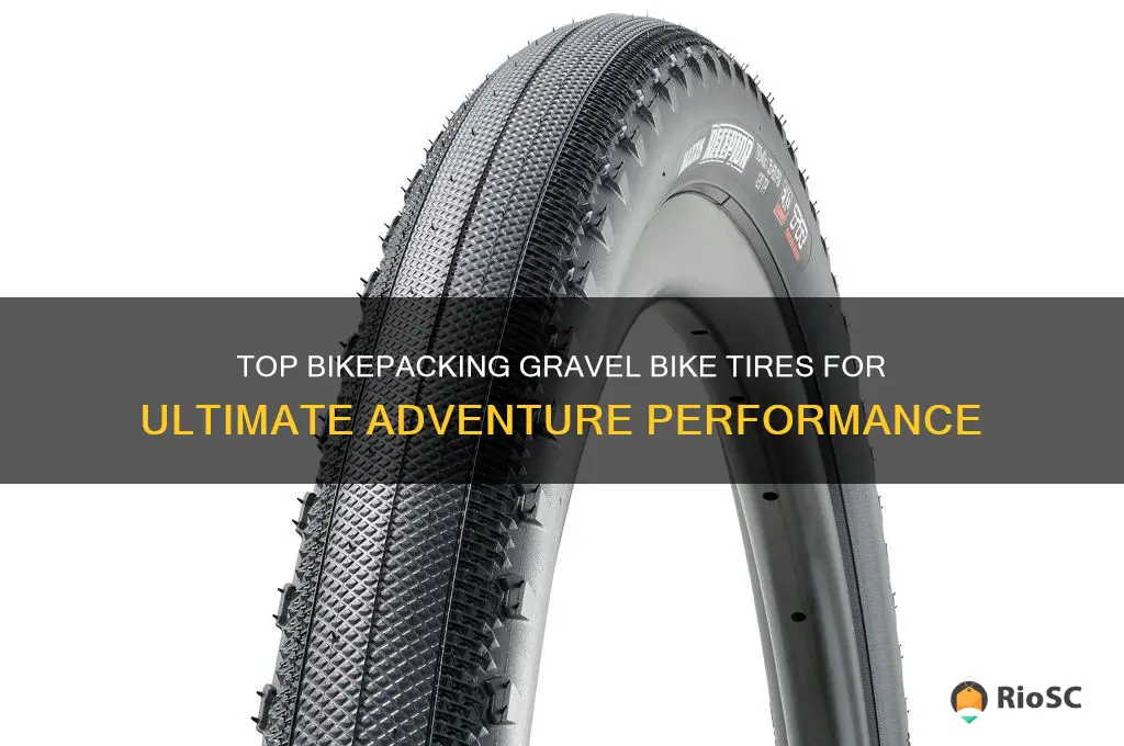 bikepacking gravel bike tires best