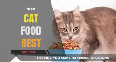 Top Picks for Your Feline Friend: The Best in Dry Cat Food