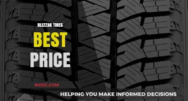 Find the Best Price on Blizzak Tires: Winter Driving Savings Guide