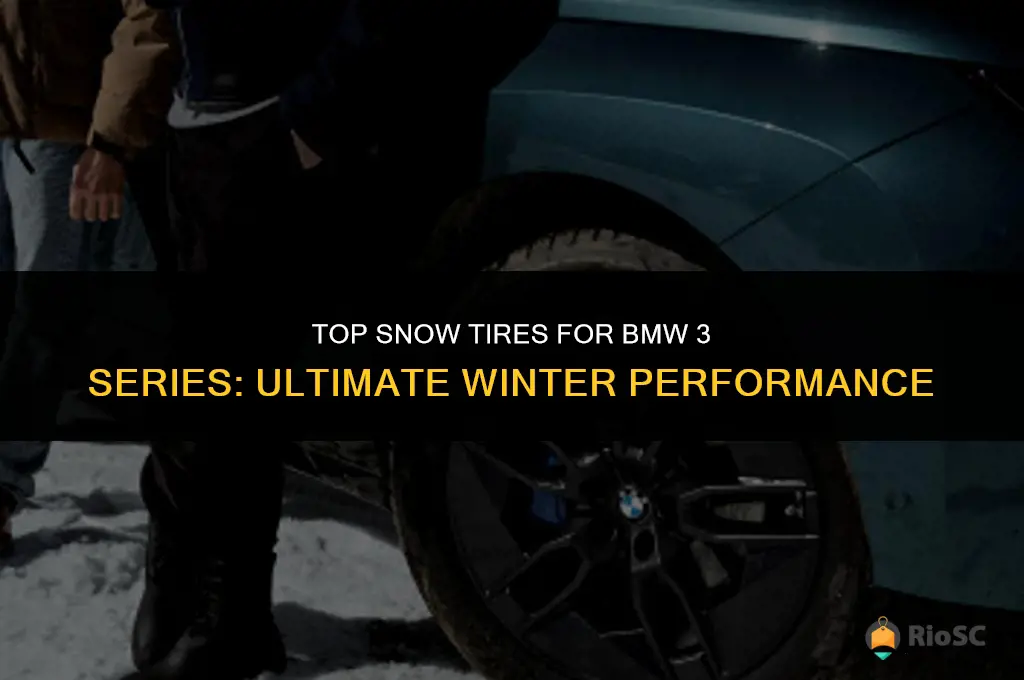 bmw 3 series best snow tires