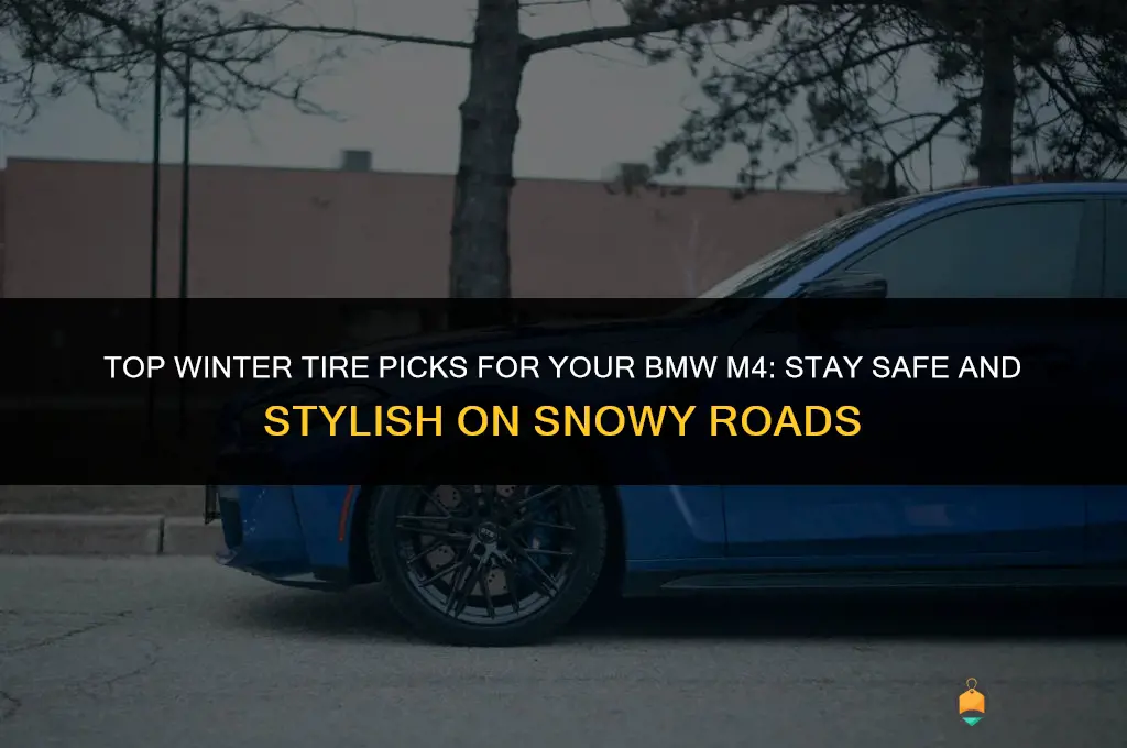 bmw m4 best winter tires