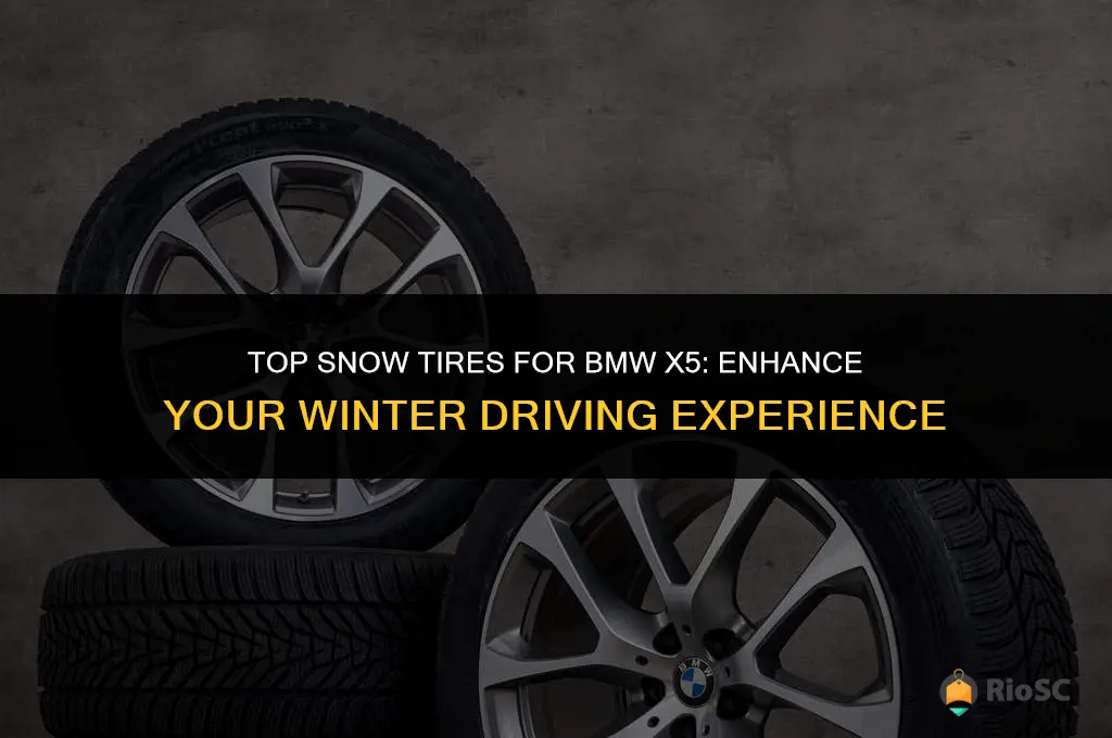 bmw x5 best snow tires