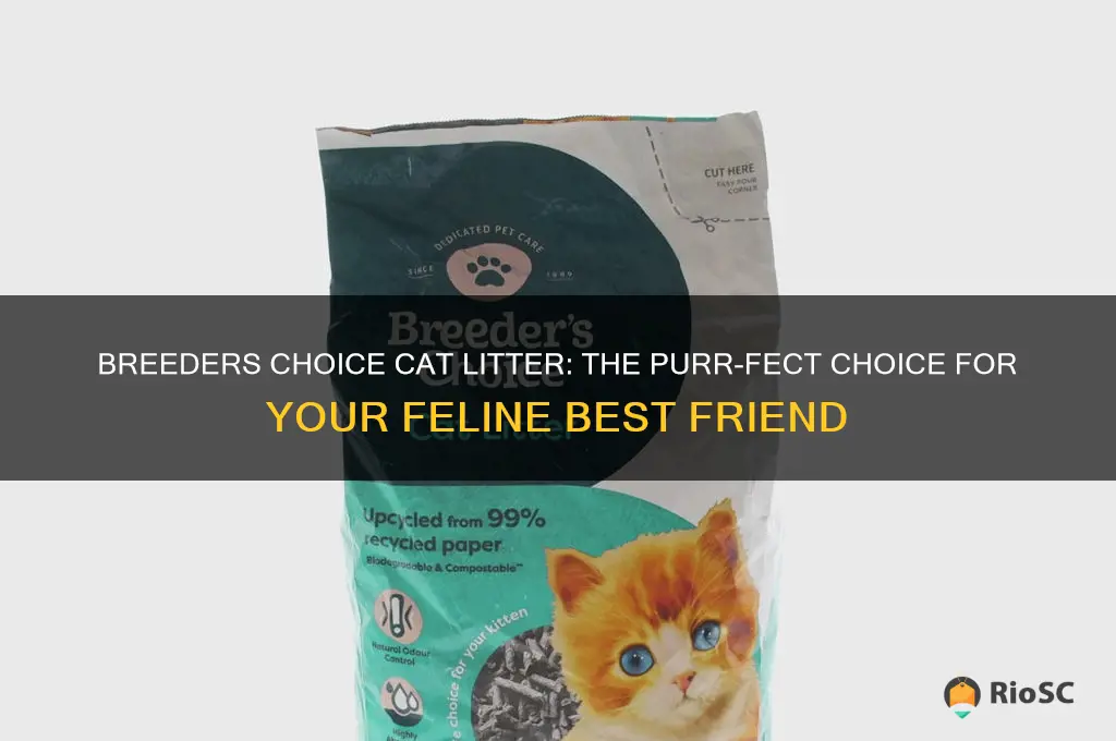 breeders choice cat litter best friends