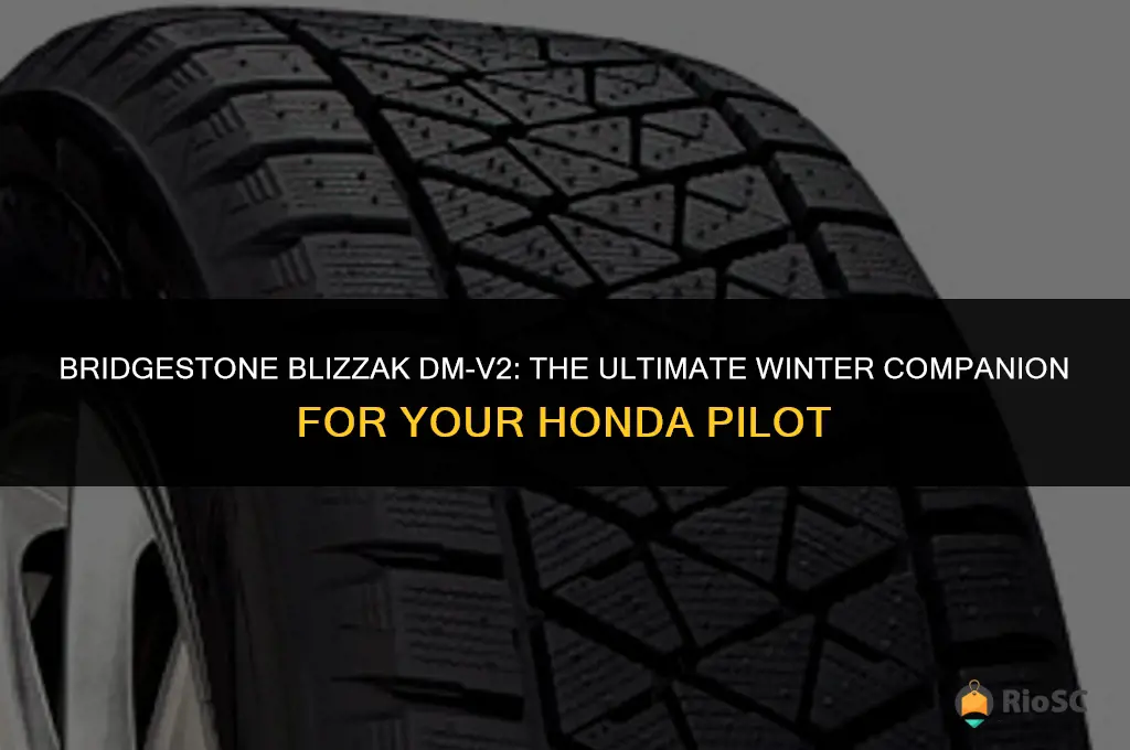 bridgestone blizzak dm-v2 best winter tires for honda pilot